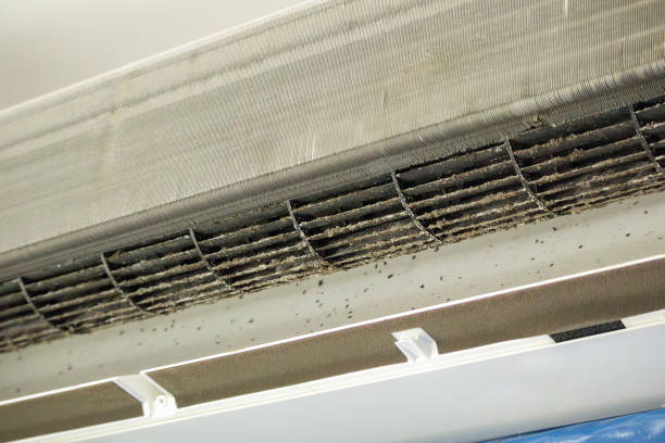 Air Duct Mold Removal in Kittanning, PA